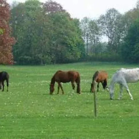 With Tennis Court * Barvaux-Condroz