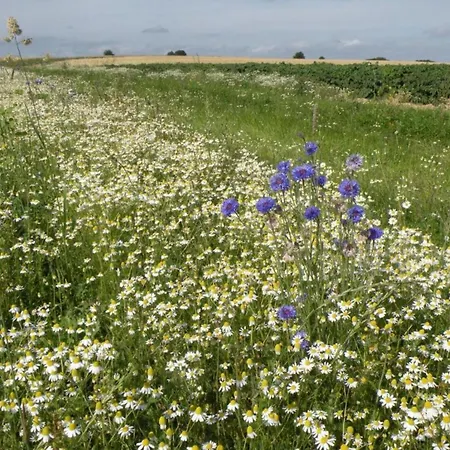 Дом отдыха With Tennis Court *