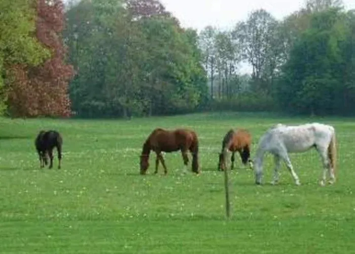 With Tennis Court * Barvaux-Condroz