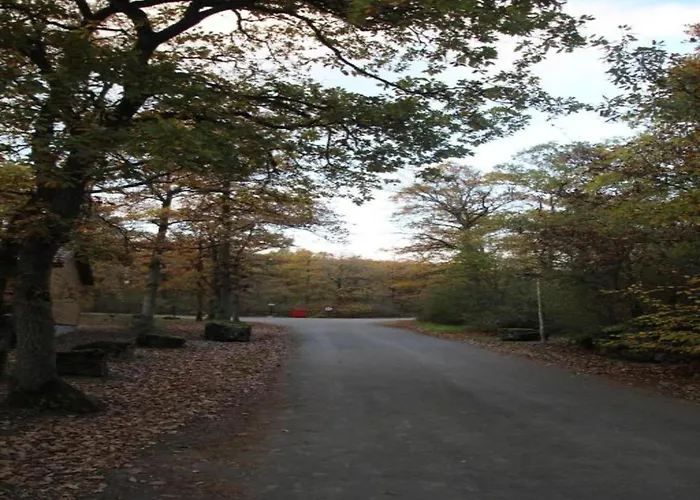 度假居 With Tennis Court